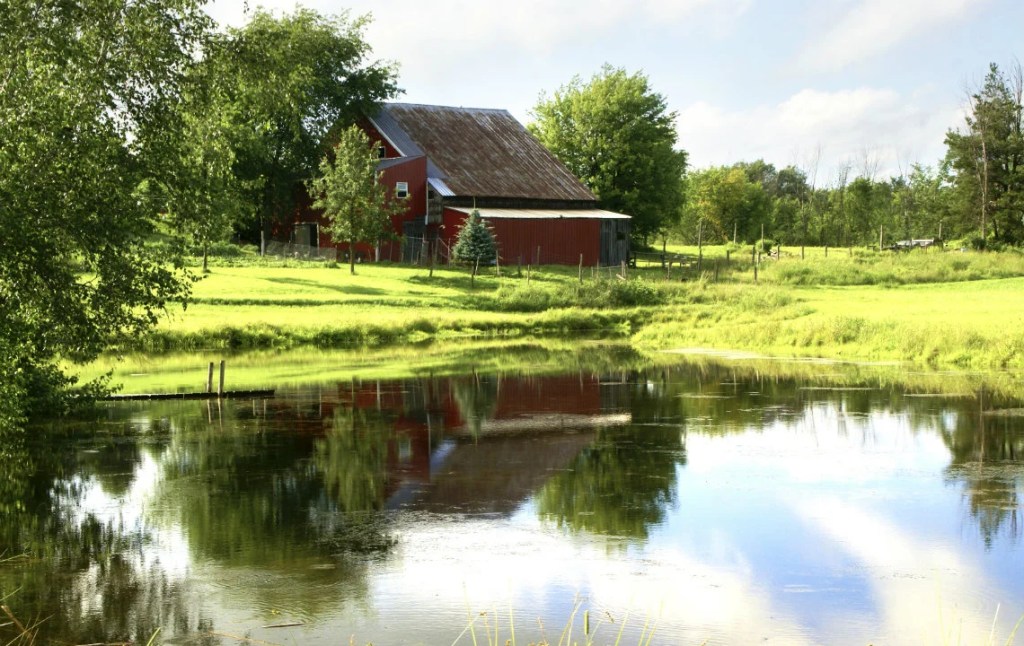 Rural Water Perceptions